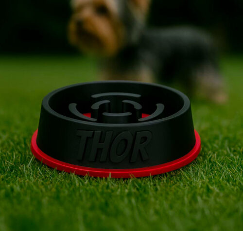 Comedero Ansiedad Personalizado para mascotas